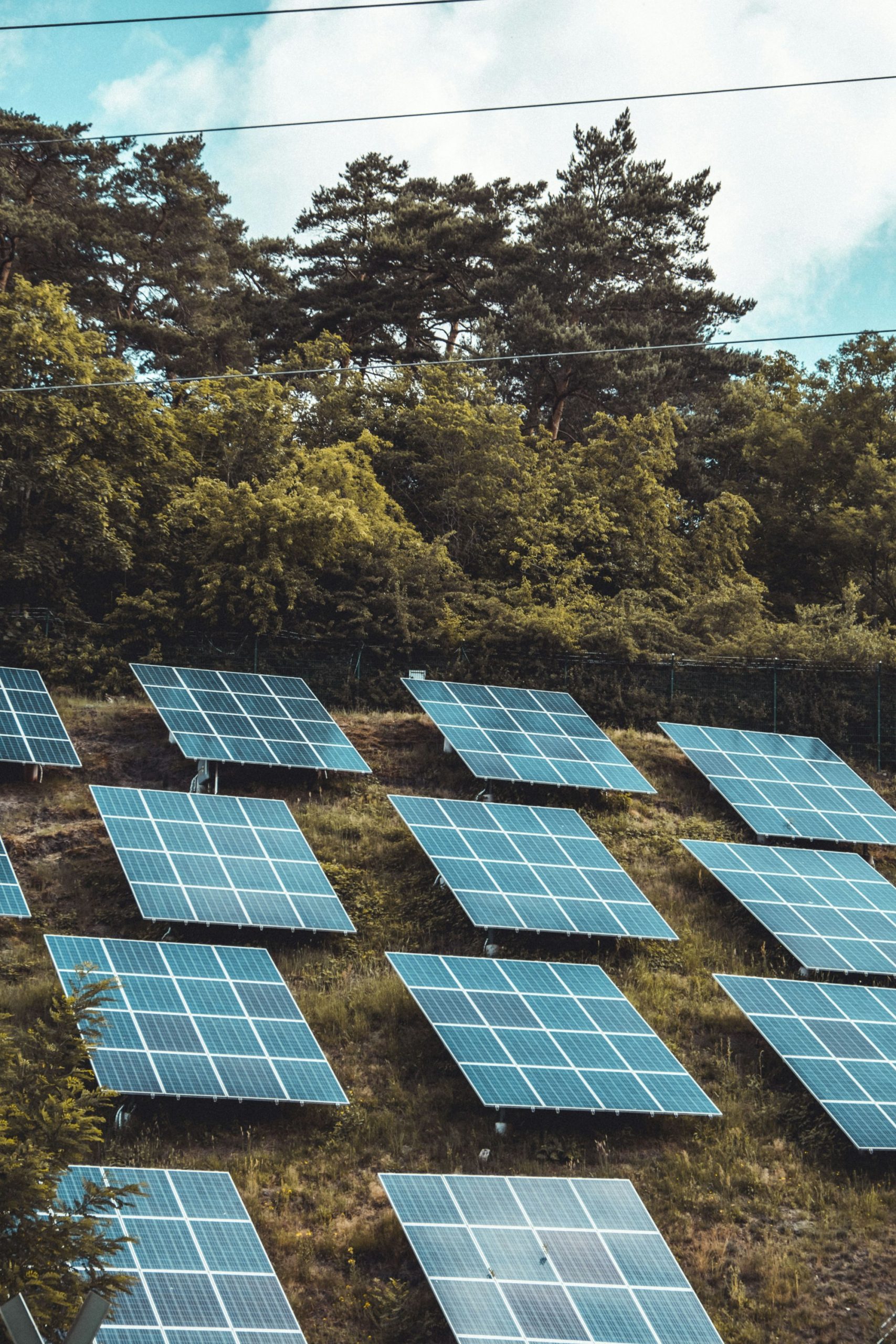 Port Authority Microgrid