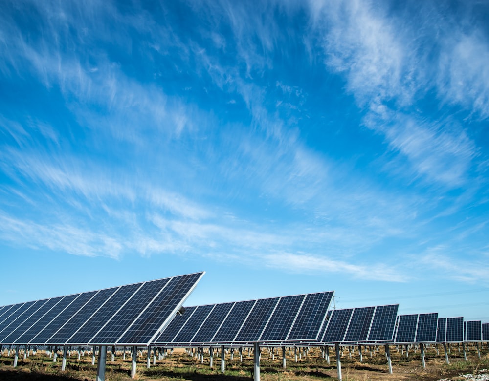 Bifacial + trackers: our yield data after 24 months